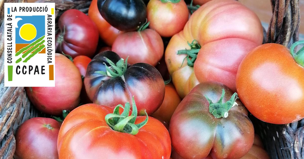 Acorden una estratgia per evitar el frau en establiments minoristes de venda de productes ecolgics