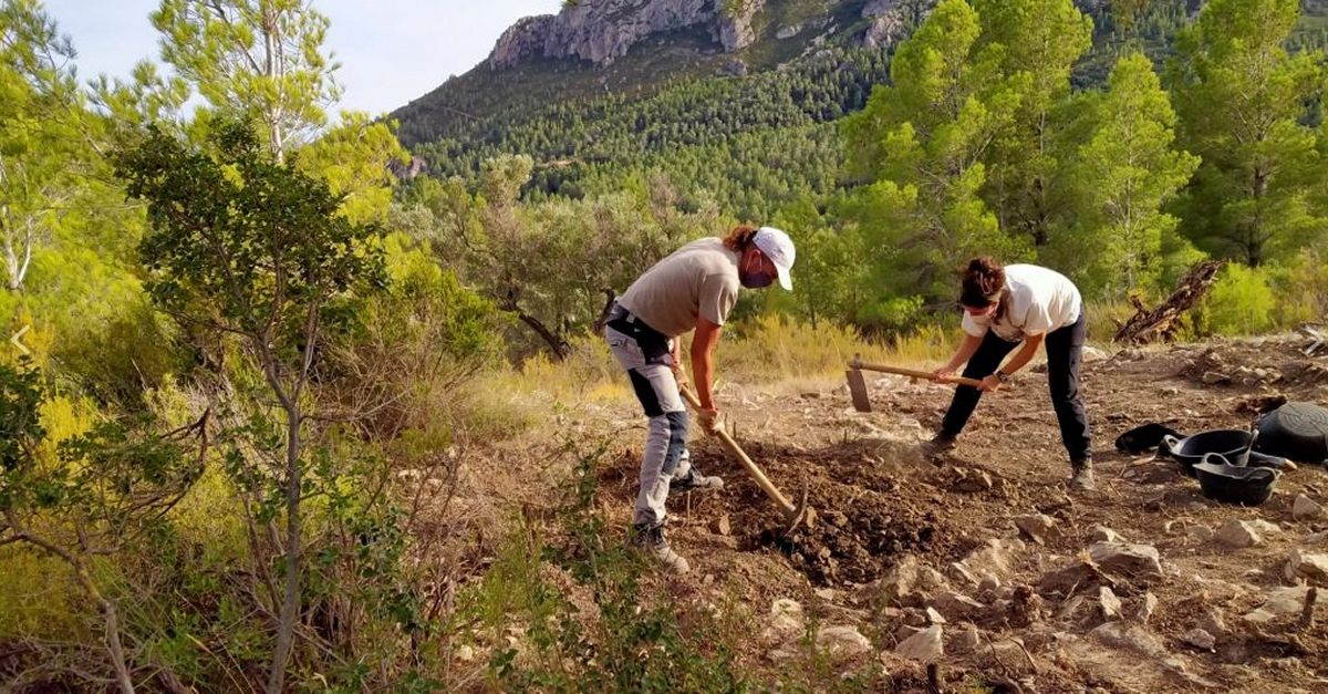 Els arquelegs de la URV excaven el jaciment dels Malladarets a Alfara de Carles i en destaquen la grandria