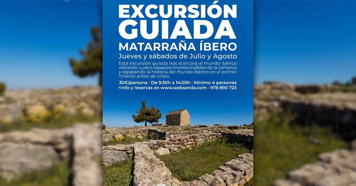Excursi�n guiada Matarra�a �bero