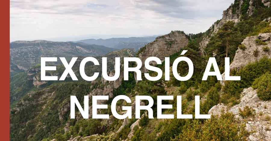 Excursi�n al Negrell