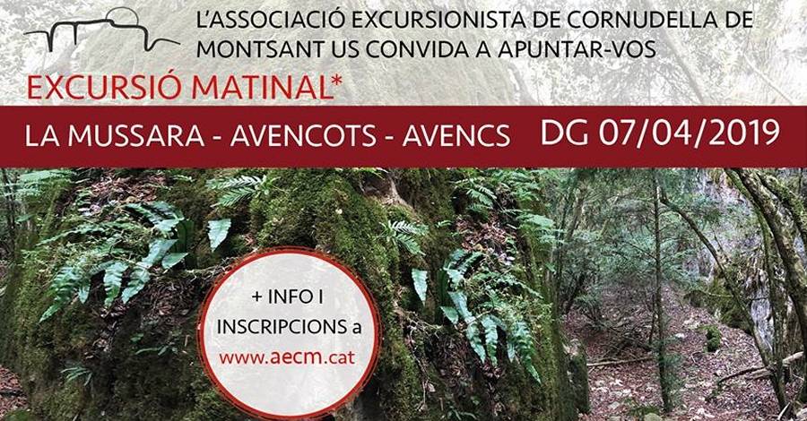 Excursi� matinal La Mussara-Avencots-Avencs