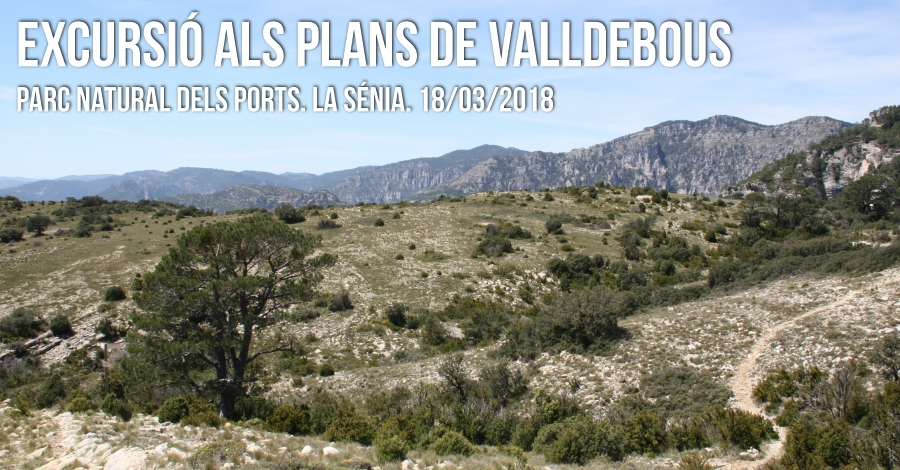 Excursió als Plans de Valldebous Excursió als Plans de Valldebous