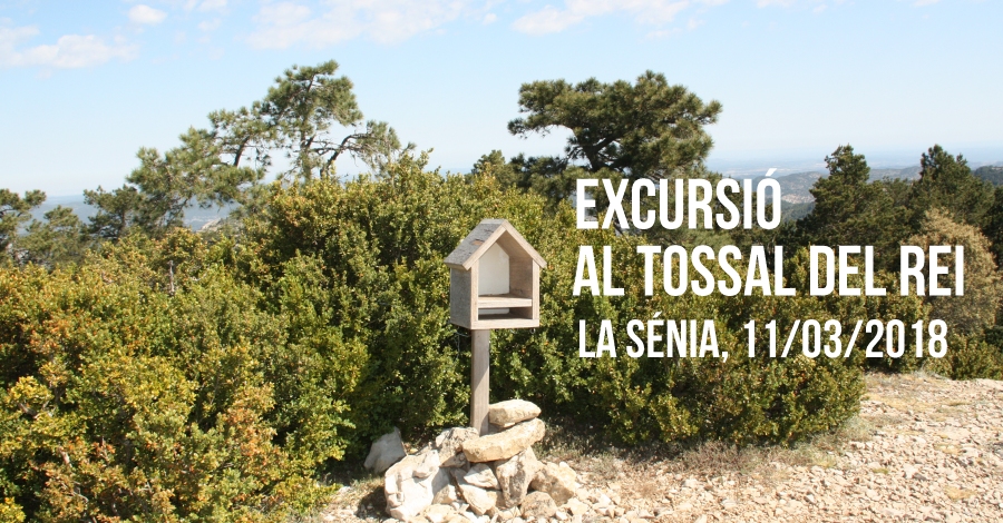 Excursi� al Tossal del Rei