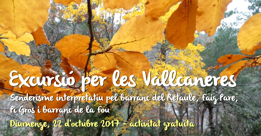 Excursi� per les Vallcaneres