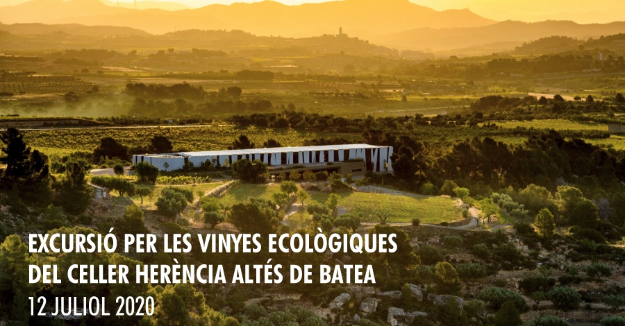 Excursi� per les vinyes ecol�giques del celler Her�ncia Alt�s Batea