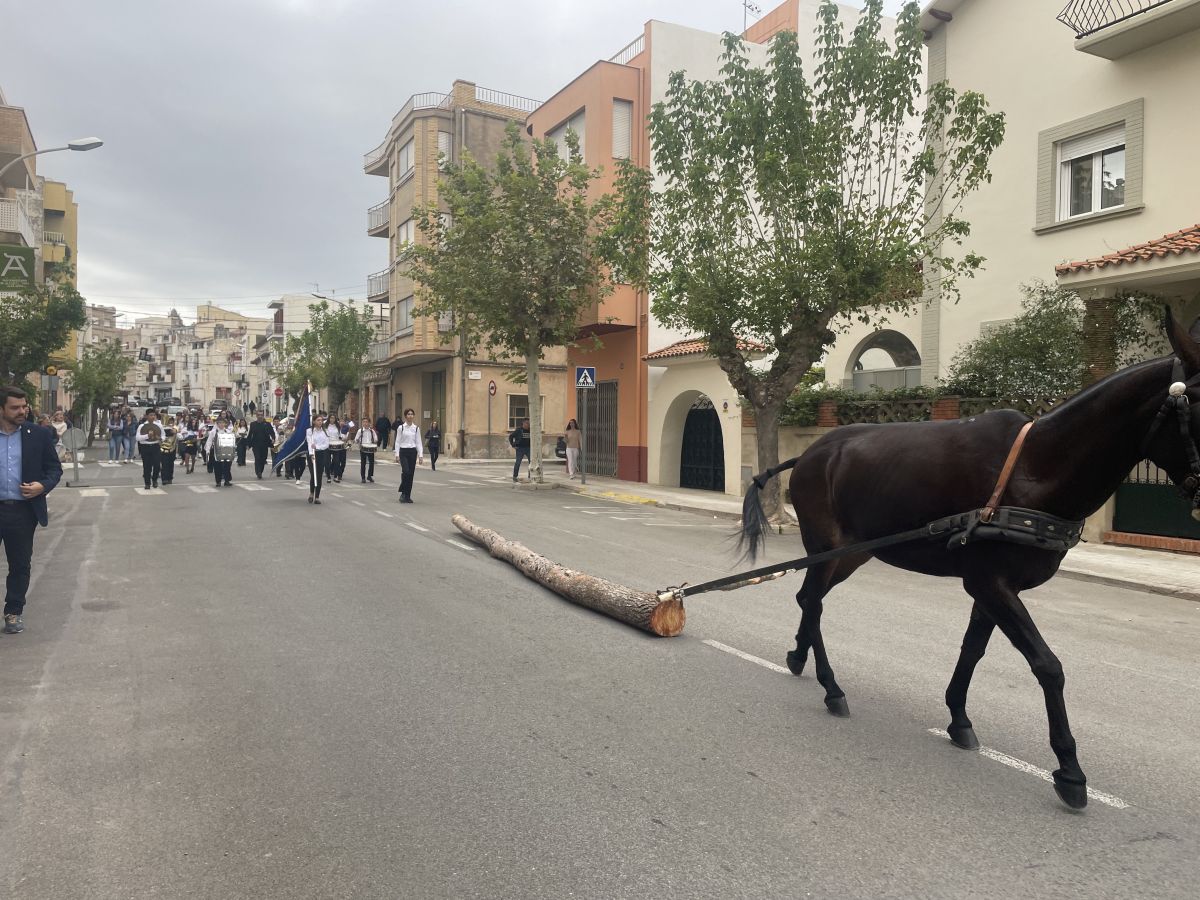 R�cord de visitantes y expositores en la XV edici�n de la Fira d&rsquo;Artesania de la Fusta i el Moble de la S�nia | EbreActiu.cat, revista digital de ocio activo | Terres de l&rsquo;Ebre...