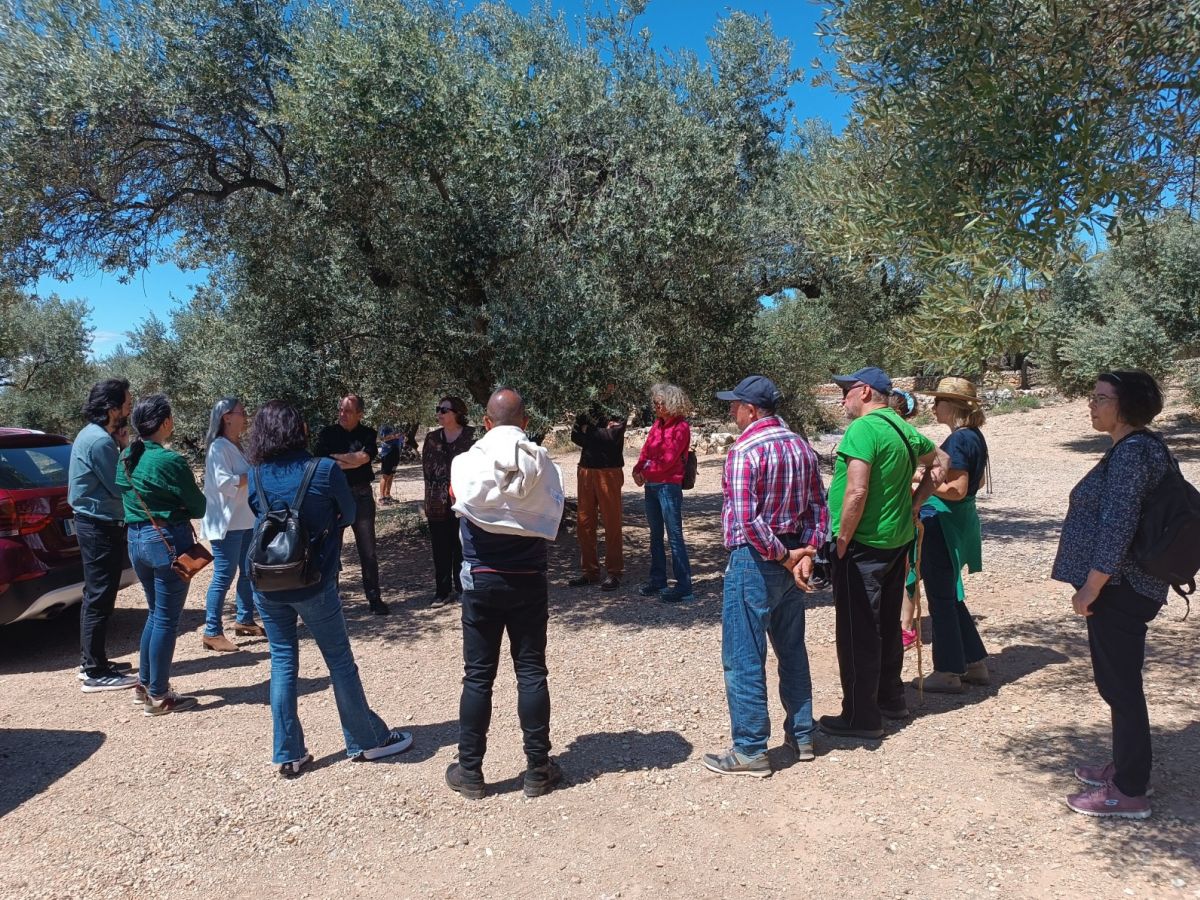 �xit de participaci� a l&rsquo;activitat de floraci� d&rsquo;oliveres del Territori S�nia | EbreActiu.cat, revista digital d&rsquo;oci actiu | Terres de l&rsquo;Ebre ...