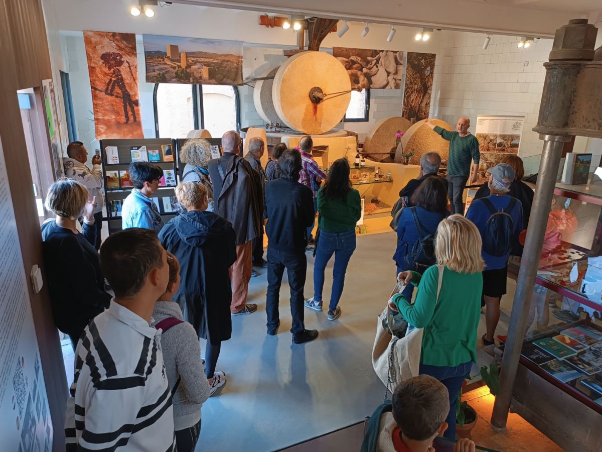 �xit de participaci� a l&rsquo;activitat de floraci� d&rsquo;oliveres del Territori S�nia | EbreActiu.cat, revista digital d&rsquo;oci actiu | Terres de l&rsquo;Ebre ...