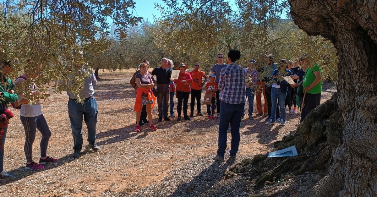 xit de participaci a l’activitat de floraci d’oliveres del Territori Snia | EbreActiu.cat, revista digital d’oci actiu | Terres de l’Ebre ...