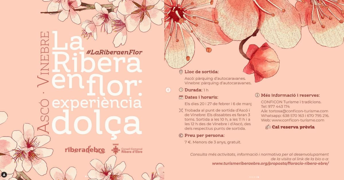 La Ribera en Flor. Experi�ncia en blanc i rosa. Ruta entre ametllers florits i tast de mel