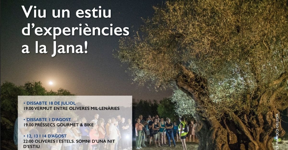 Vermut entre oliveres mil�len�ries 