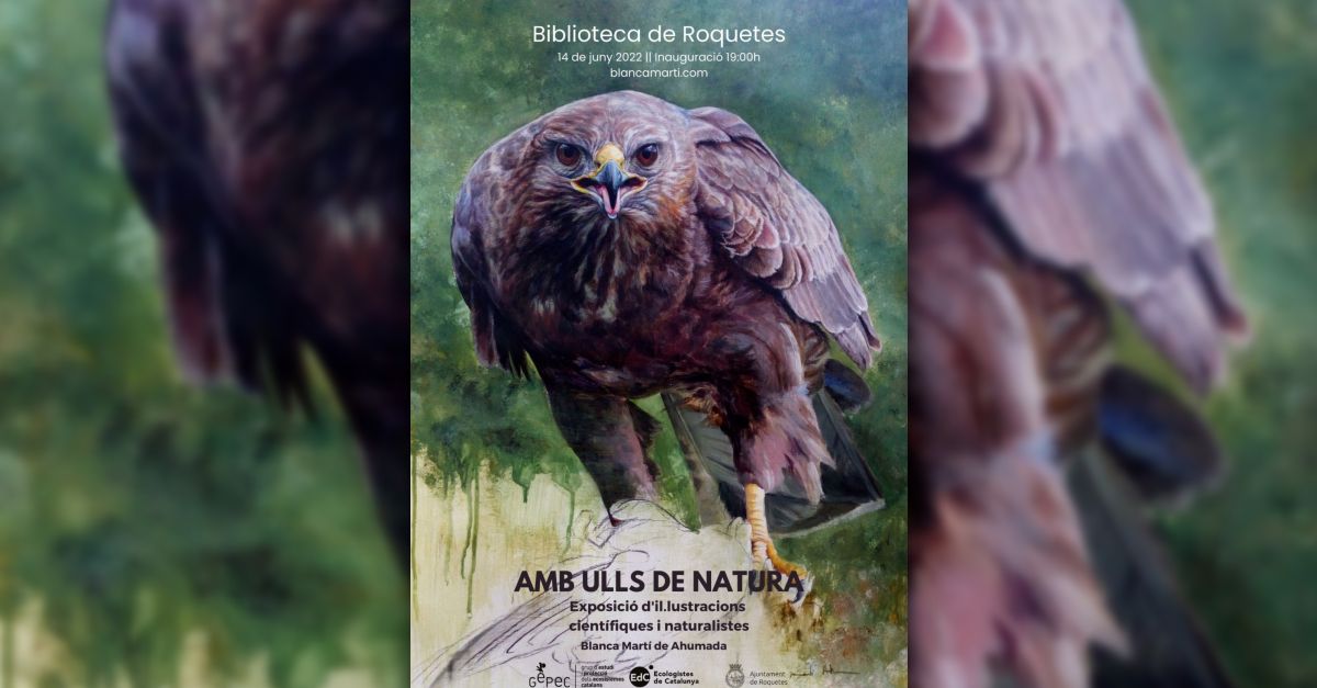 Amb ulls de natura. Exposició d’il·lustracions científiques i naturalistes Amb ulls de natura. Exposició d’il·lustracions científiques i naturalistes