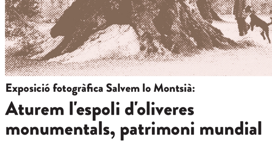 Exposici� fotogr�fica: Aturem l�espoli d�oliveres monumentals, patrimoni mundial
