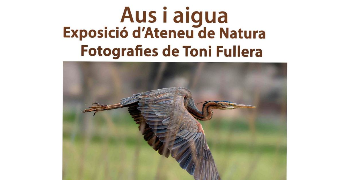 Aus i aigua. Exposici�n de Ateneu de Natura