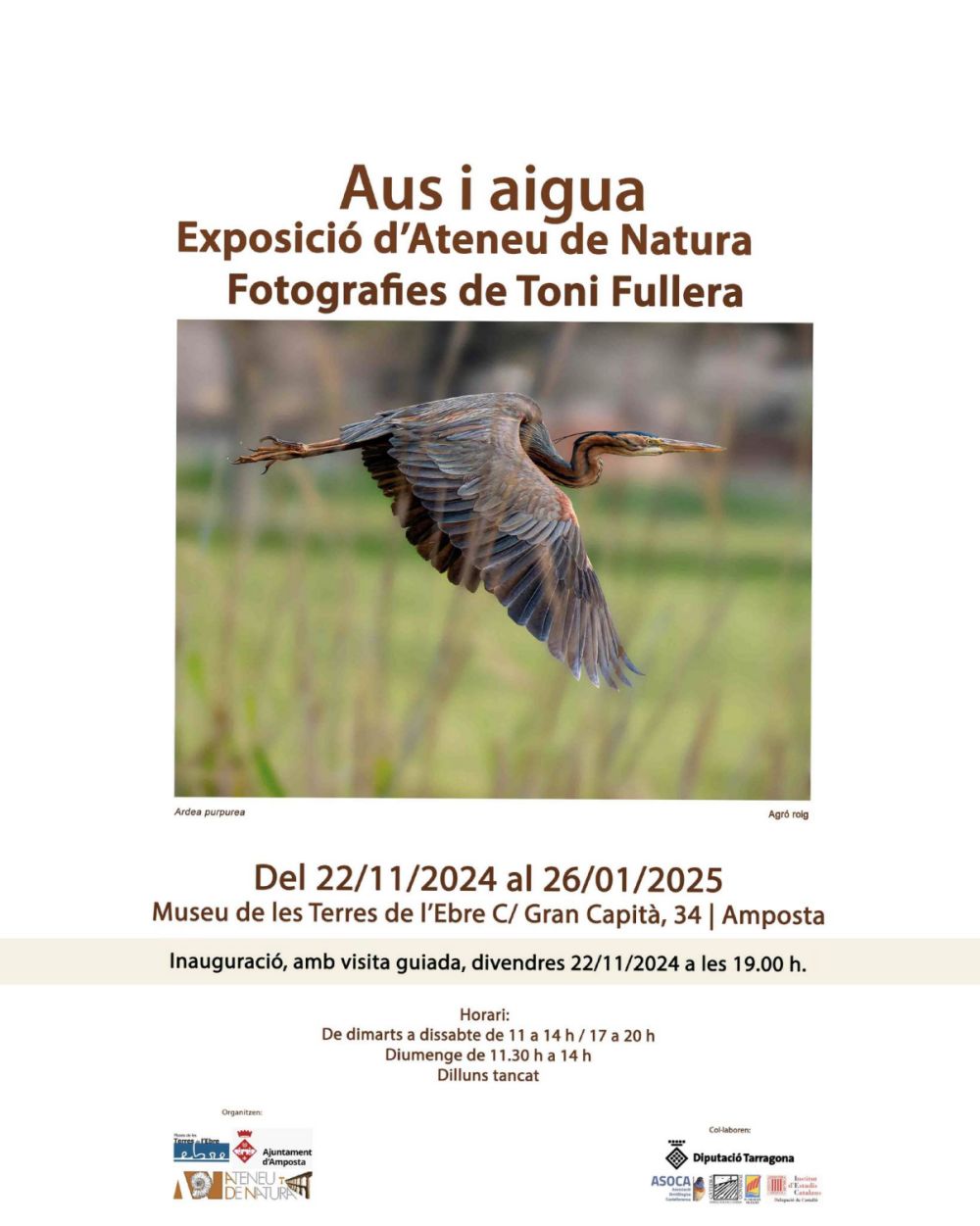 Aus i aigua. Exposició d’Ateneu de Natura Aus i aigua. Exposició d’Ateneu de Natura
