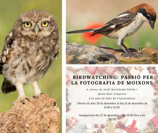 Exposici�: Birdwatching: passi� per la fotografia de moixons