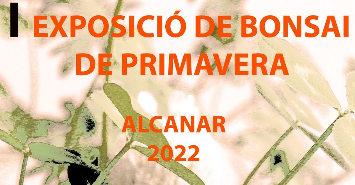 Exposici�n de bonsai de primavera