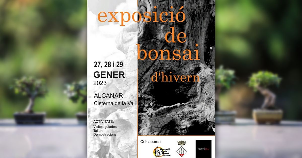 Exposici�n de bonsais de invierno 2023
