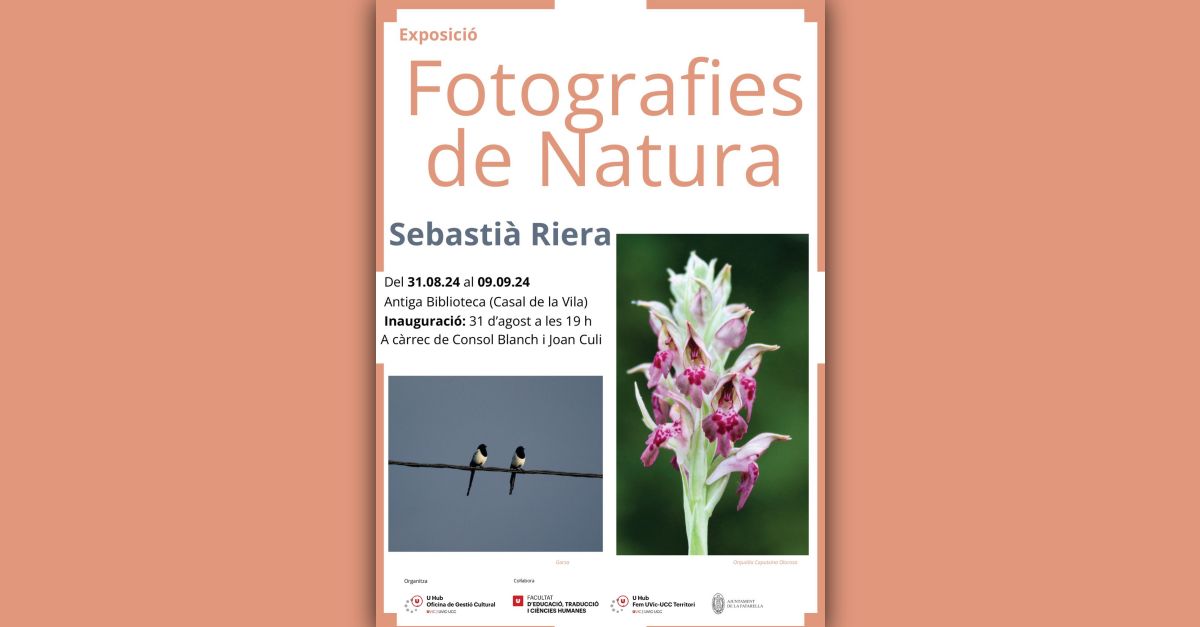 Exposici� de fotografies de natura: Sebasti� Riera. Paisatge, insectes i ocells