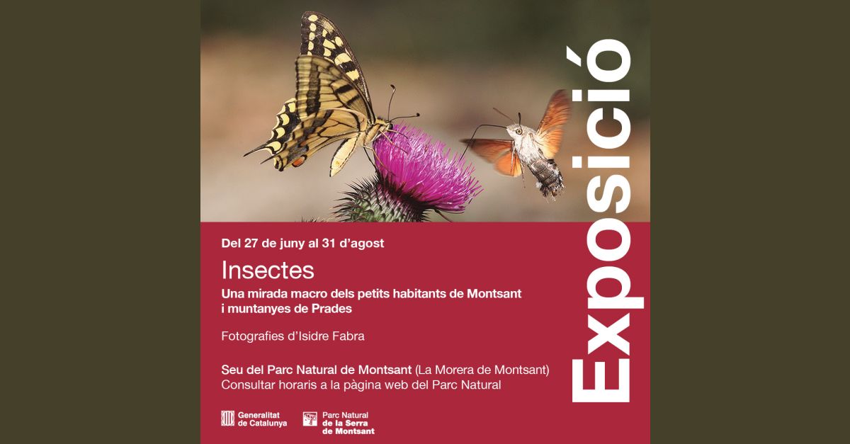Exposici�n �Insectes� 