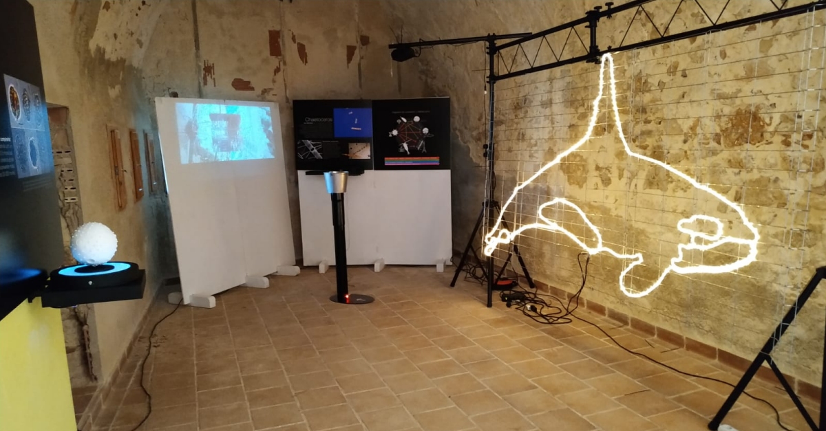 Una exposici interactiva mostra els microorganismes marins amb tots els sentits