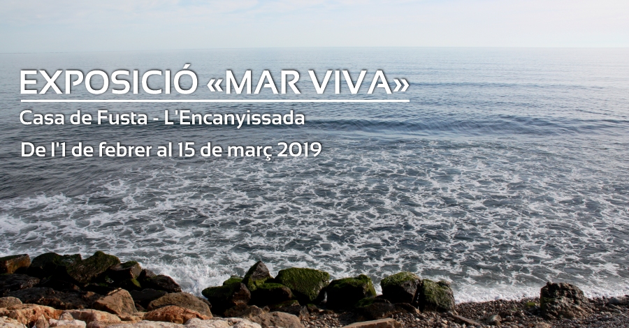 Exposición «Mar viva» Exposición «Mar viva»