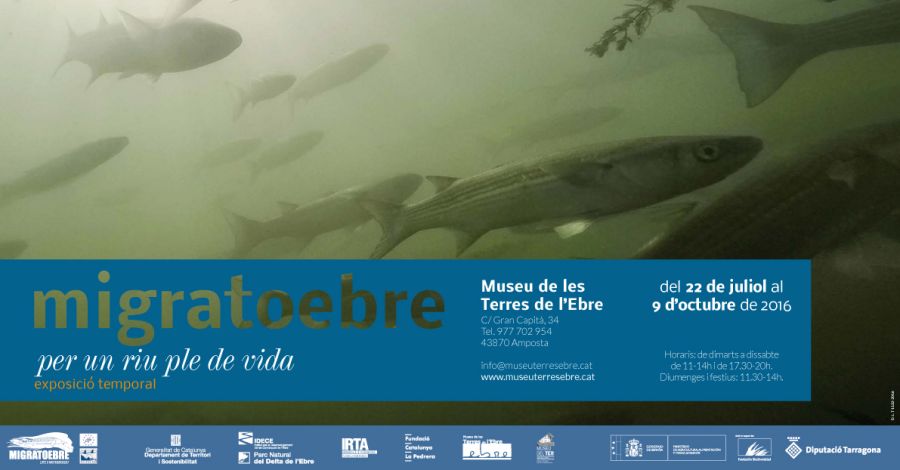 Exposici� �MigratoEbre, Per un riu ple de vida�