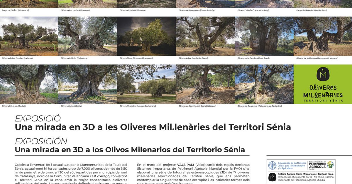 Exposici�n �Una mirada en 3D a les Oliveres mil�len�ries�
