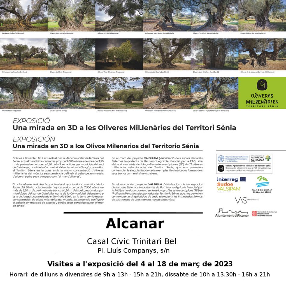 Exposició «Una mirada en 3D a les Oliveres mil·lenàries» Exposició «Una mirada en 3D a les Oliveres mil·lenàries»