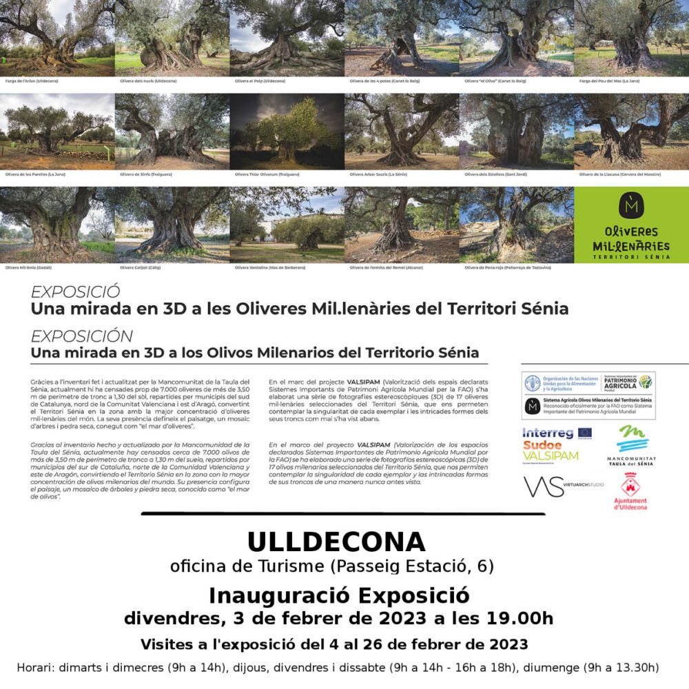 Exposició «Una mirada en 3D a les Oliveres Mil·lenàries del Territori Sénia» Exposició «Una mirada en 3D a les Oliveres Mil·lenàries del Territori Sénia»