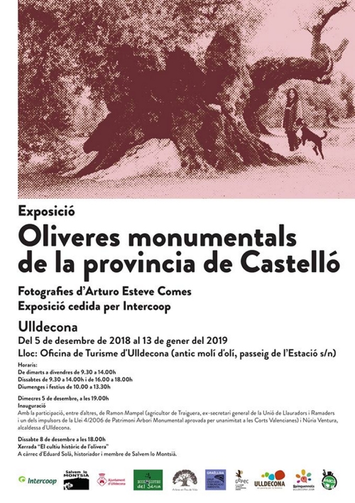 Exposició Oliveres monumentals de la província de Castelló Exposició Oliveres monumentals de la província de Castelló
