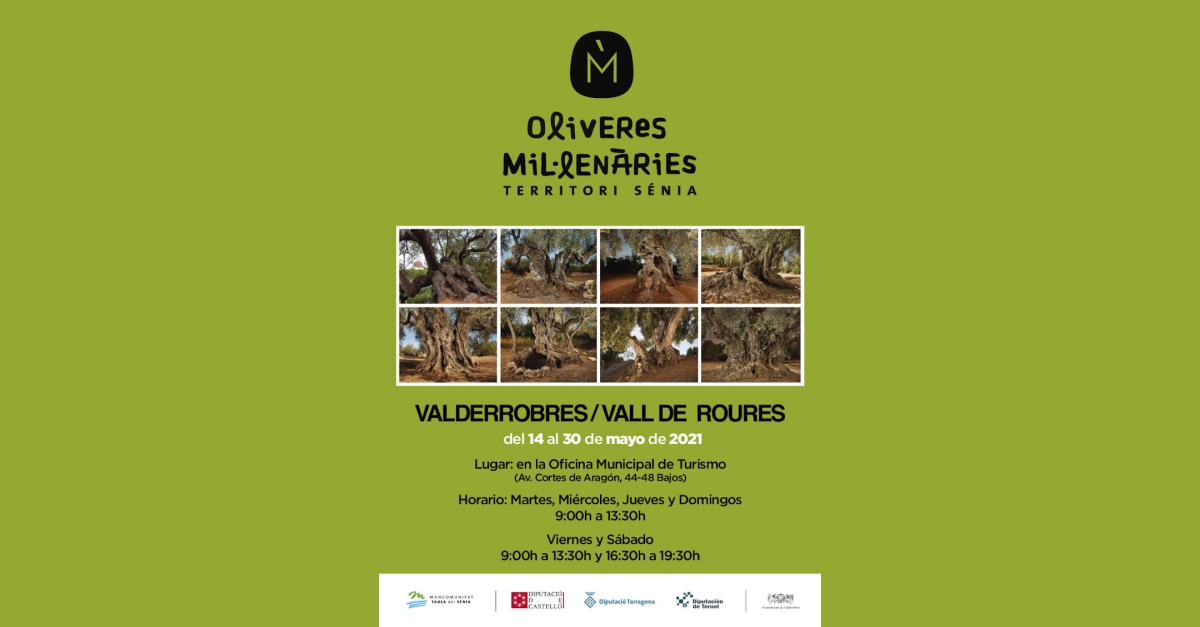 Exposici� Oliveres mil�len�ries del Territori S�nia