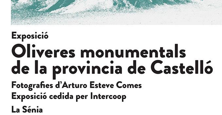 Exposici�n: Oliveres monumentals de la prov�ncia de Castell�