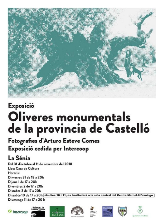 Exposició: Oliveres monumentals de la província de Castelló Exposició: Oliveres monumentals de la província de Castelló