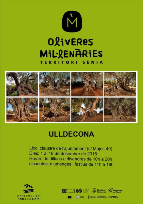 Exposici� Oliveres mil�len�ries Territori S�nia