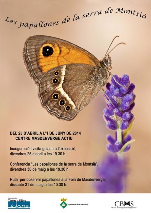 Exposici� �Les papallones de la serra de Montsi�