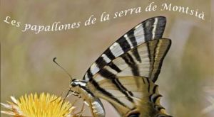 Exposici� �Les papallones de la serra de Montsi��