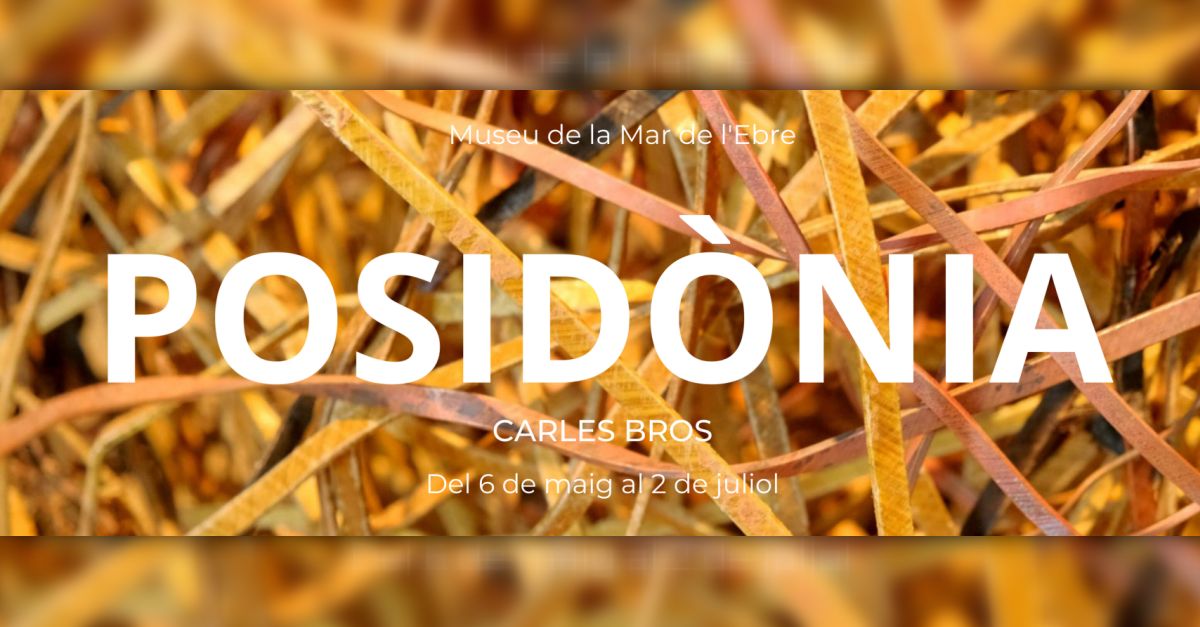 Exposició Posidònia, de Carles Bros Exposició Posidònia, de Carles Bros