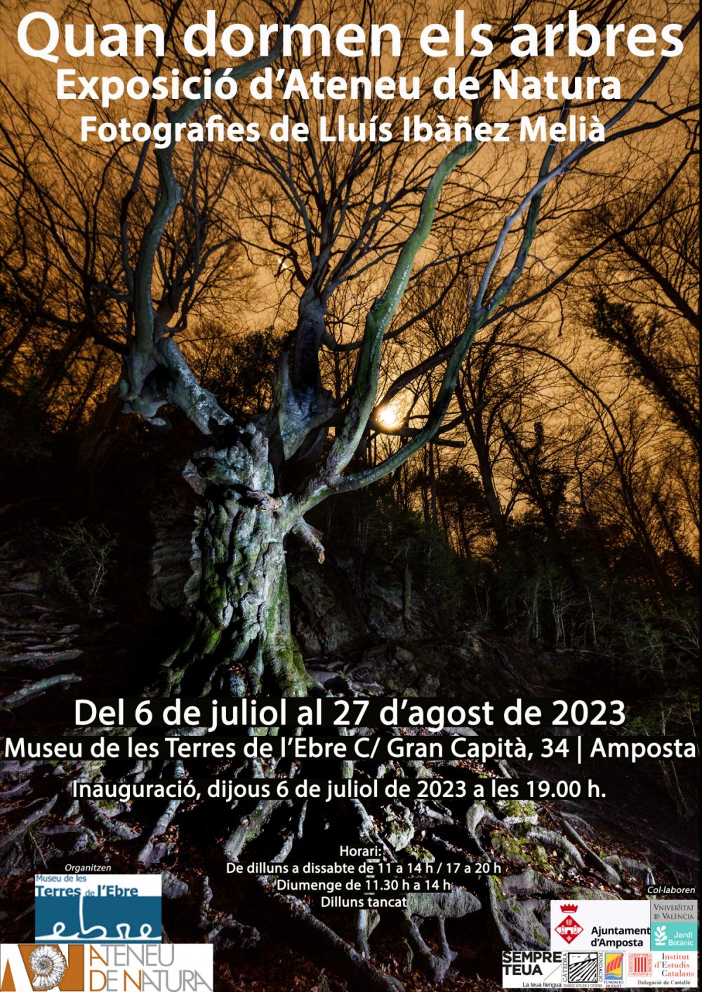 Exposició «Quan dormen els arbres» Exposició «Quan dormen els arbres»