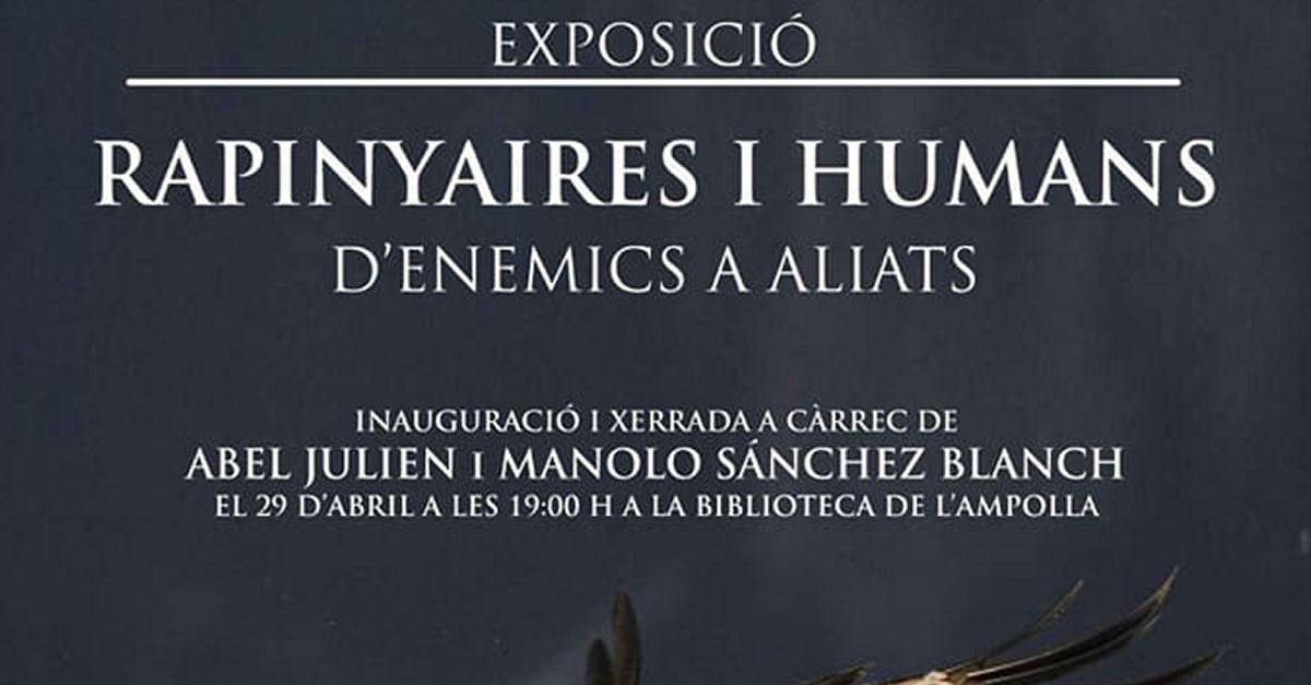 Exposició Rapinyaires i humans. D’enemics a aliats Exposició Rapinyaires i humans. D’enemics a aliats