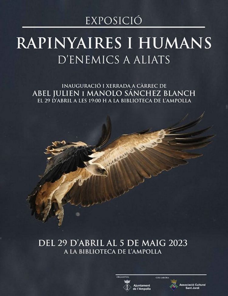 Exposici� Rapinyaires i humans. D�enemics a aliats