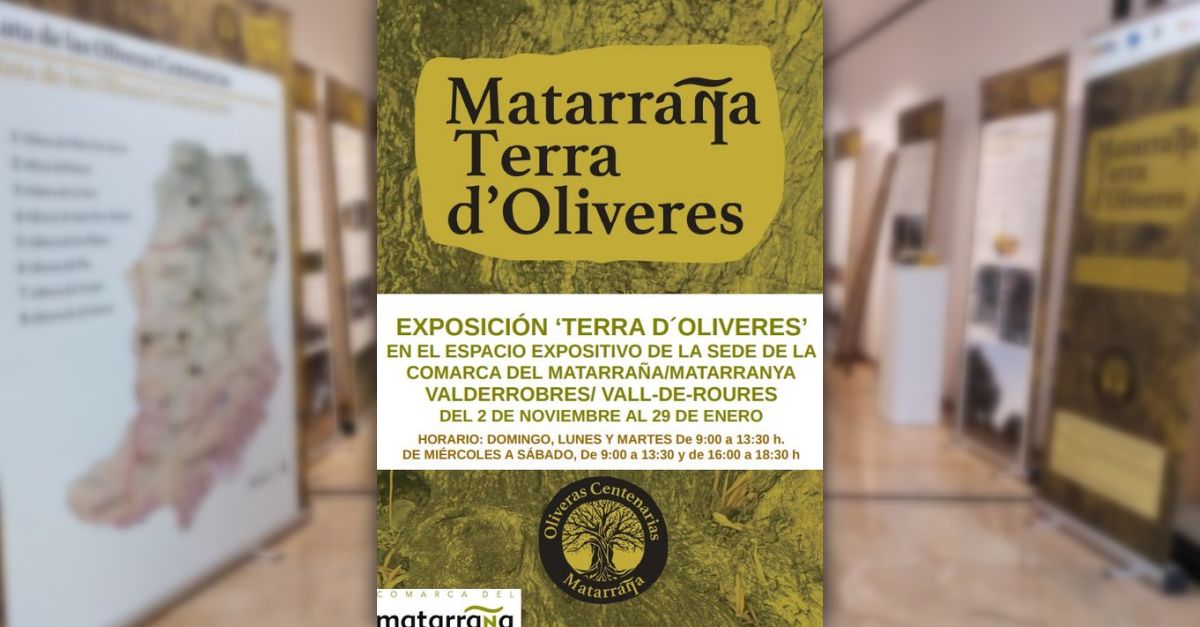 Exposición «Terra d’oliveres» Exposición «Terra d’oliveres»