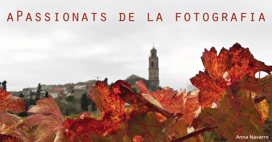 Exposici� fotogr�fica: Apassionats de la fotografia