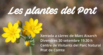 Exposici� fotogr�fica: Les Plantes dels Ports