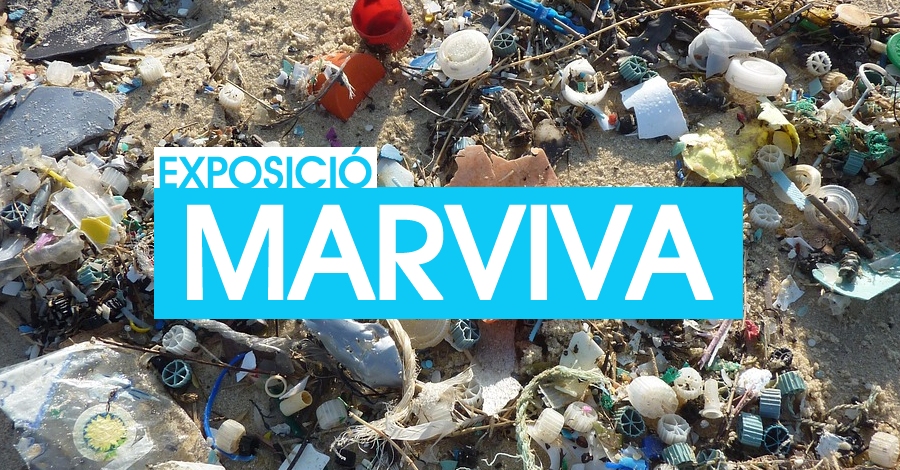 Exposici� Marviva