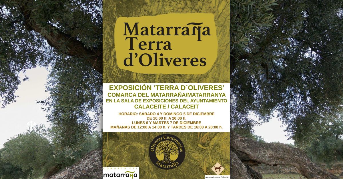Exposici� �Matarranya, Terra d&rsquo;oliveres�
