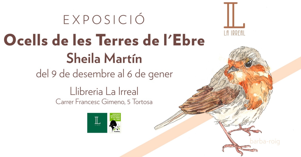 Exposició «ocells de les Terres de l’Ebre», Sheila Martín Exposició «ocells de les Terres de l’Ebre», Sheila Martín