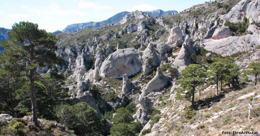 Una exposici permanent sendinsa en els paisatges ferstecs del Parc Natural dels Ports