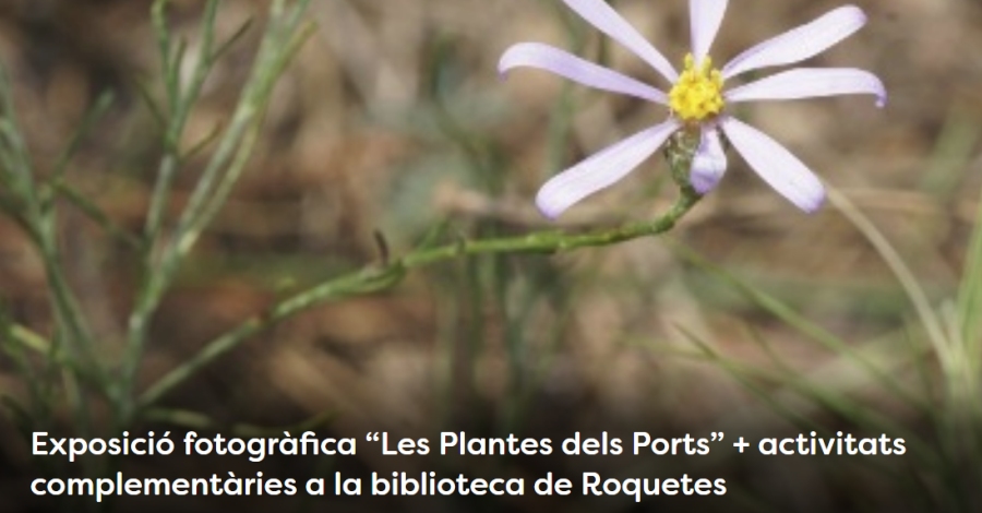 Setmana de la Natura: Exposici� fotogr�fica �Les Plantes dels Ports�