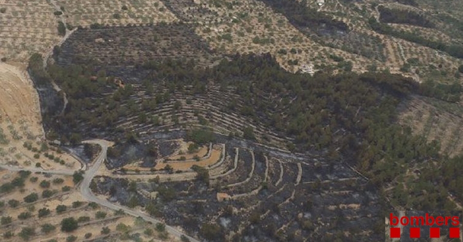 Extingit l’incendi del Perell